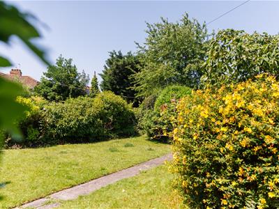 Picture 20